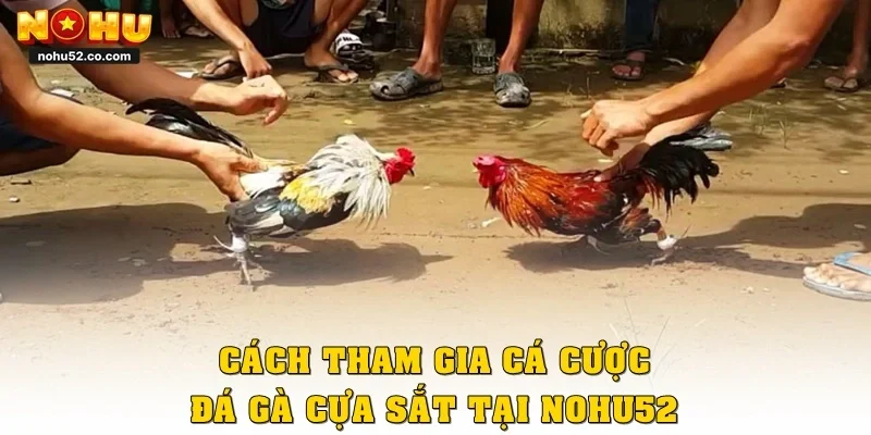 Trải Nghiệm Đá Gà Cựa Sắt Đỉnh Cao Cùng Nhà Cái Nohu52