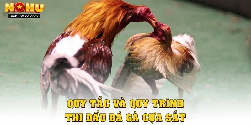 Trải Nghiệm Đá Gà Cựa Sắt Đỉnh Cao Cùng Nhà Cái Nohu52
