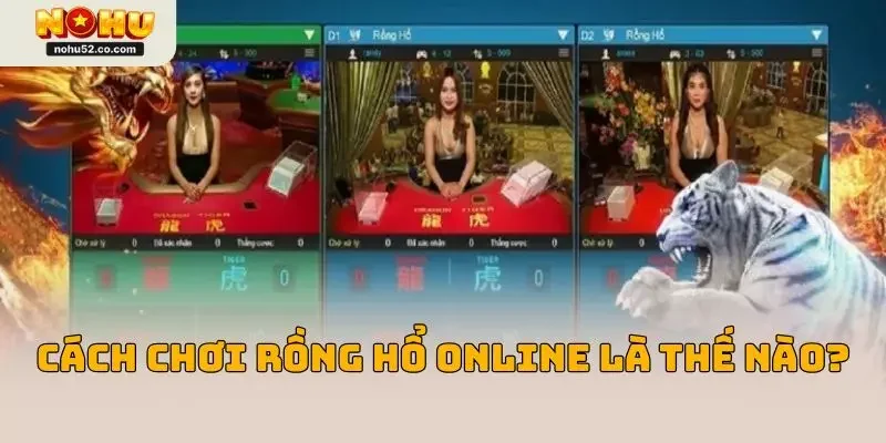 Cách Chơi Rồng Hổ Online Chuẩn Cao Thủ Tại NOHU52