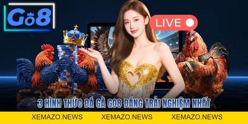 Đá Gà GO8 - Sân Chơi Chọi Kê Uy Tín Hàng Đầu Hiện Nay