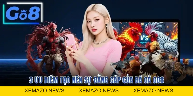 Đá Gà GO8 - Sân Chơi Chọi Kê Uy Tín Hàng Đầu Hiện Nay