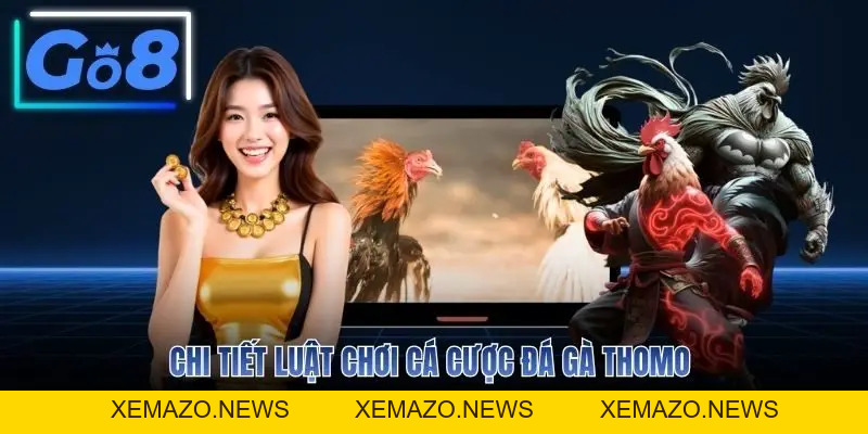 Đá Gà Thomo Trực Tiếp Campuchia Tỷ Lệ Hoàn Trả 1.5%