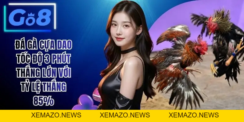 Đá Gà GO8 - Sân Chơi Chọi Kê Uy Tín Hàng Đầu Hiện Nay