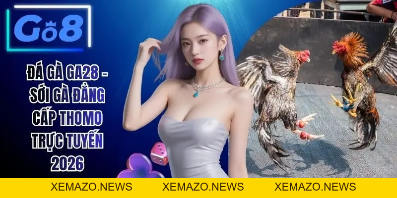 Đá Gà GO8 - Sân Chơi Chọi Kê Uy Tín Hàng Đầu Hiện Nay