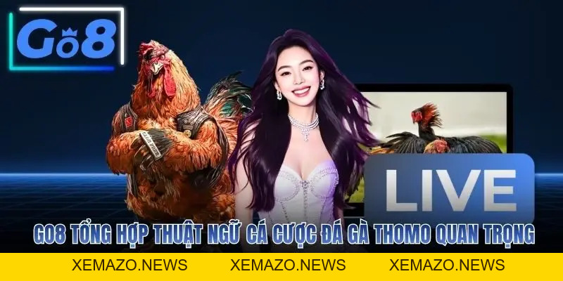 Đá Gà Thomo Trực Tiếp Campuchia Tỷ Lệ Hoàn Trả 1.5%