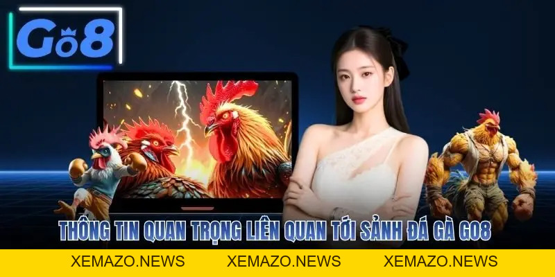 Đá Gà GO8 - Sân Chơi Chọi Kê Uy Tín Hàng Đầu Hiện Nay