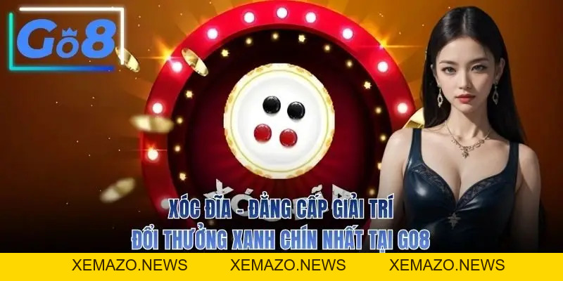 Xóc Đĩa - Quy Trình 3 Bước Thắng 95% Từ Cao Thủ Lão Làng
